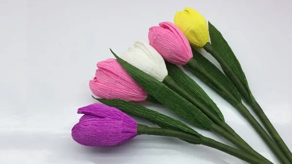 Hoa tulip khi hoàn thành