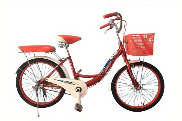 Xe đạp phổ thông cho bé 20 inch HMT 20G12 